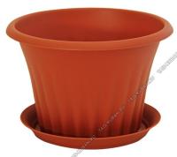 1695434445_image_234838.jpg_big[1]