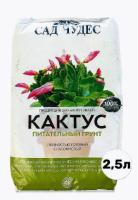 Новый точечный рисунок