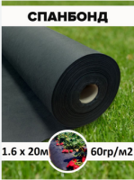 Безымянный