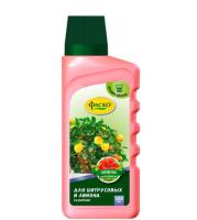 Новый точечный рисунок (91)