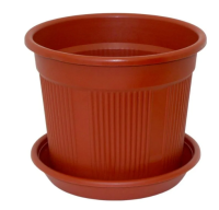 Безымянный1