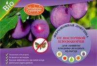 vostochnaya_plodozhorka_lovushka_1