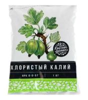 Новый точечный рисунок (91)