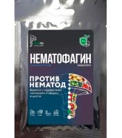 Новый точечный рисунок