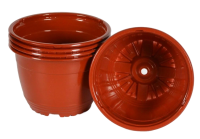 2024-12-25_11-28-07-no-bg-preview (carve.photos)