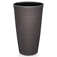 сер-кор-500x500 1