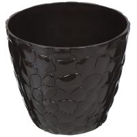 2cded1f227a3f3d4cd5c80a1773a16e9