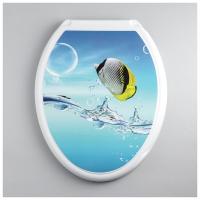 Сиденье для унитаза пластик Росспласт Тропическая рыбка РП-813 196141