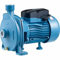 450x600 - 2024-07-22T141625.778