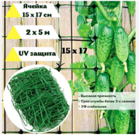 Безымянный