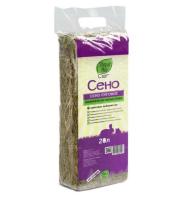 Новый точечный рисунок (91)