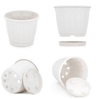 e54983c4170611ee9095000c29bd4109_87bf0321206611ee9095000c29bd4109-1108x1108fit