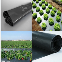 Безымянный