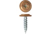 g1mjn5chbtlwdm7pezgz4q2v5brm642r