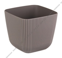 1739429337_image_347742.jpg_big[1]